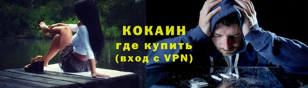 прущие крисы Алзамай