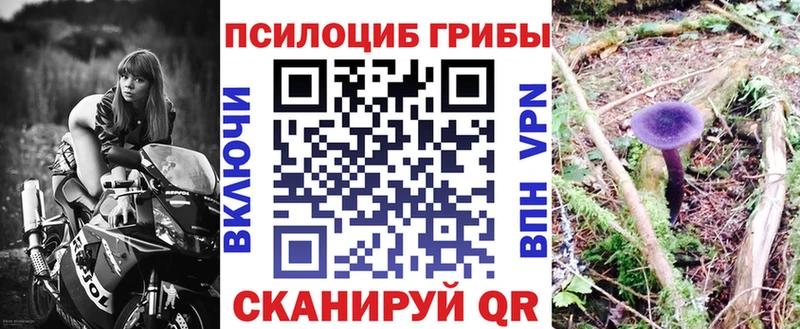 Галлюциногенные грибы прущие грибы  kraken ТОР  Людиново 